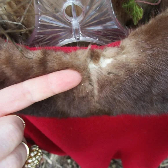 vintage 1960s Rothmoor red wool coat with mink collar, Mary Tyler Moore, b 40 - Picture 10 of 11